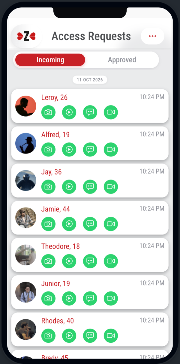 Zivazi Access Requests screen